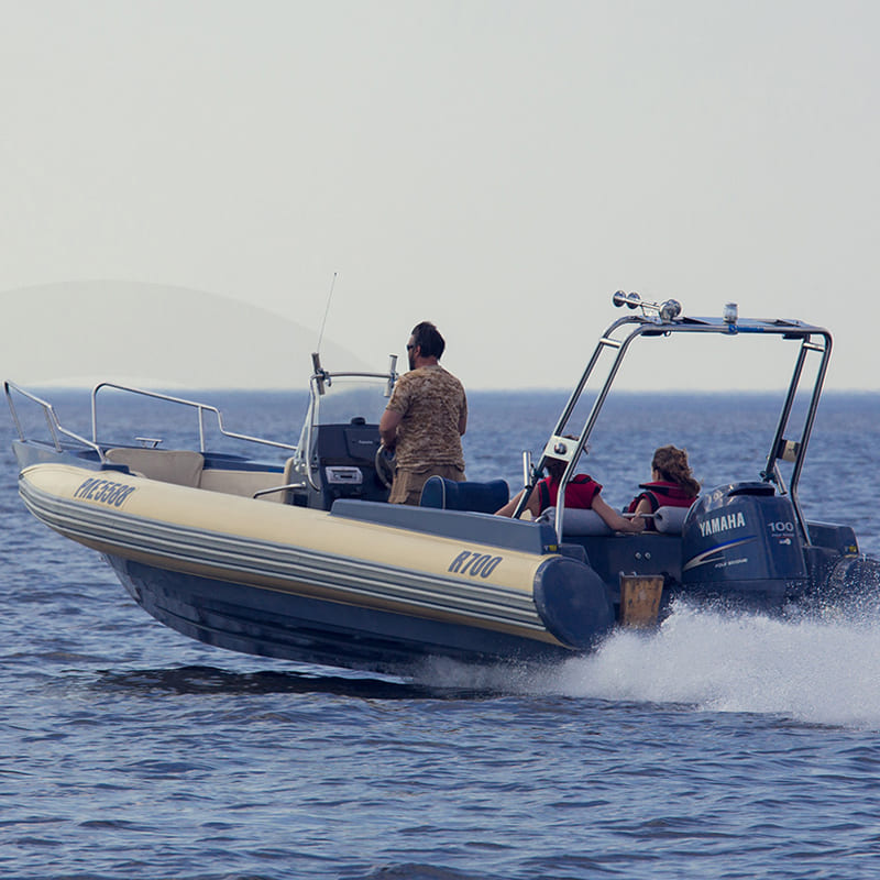 Лодка РИБ Skylark Rider R700 CL в Сочи
