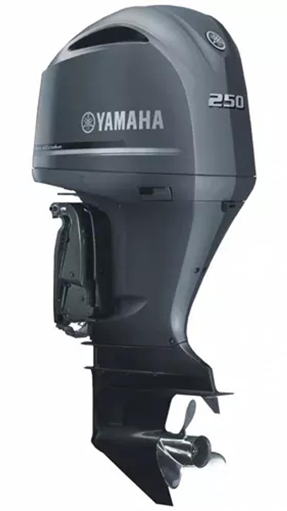 4х-тактный лодочный мотор YAMAHA F250 DETU ПОД ЗАКАЗ в Сочи