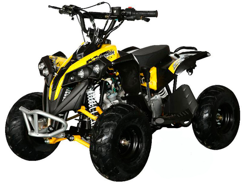 Электроквадроцикл MOTAX ATV CAT 1000W в Южно-Сахалинске