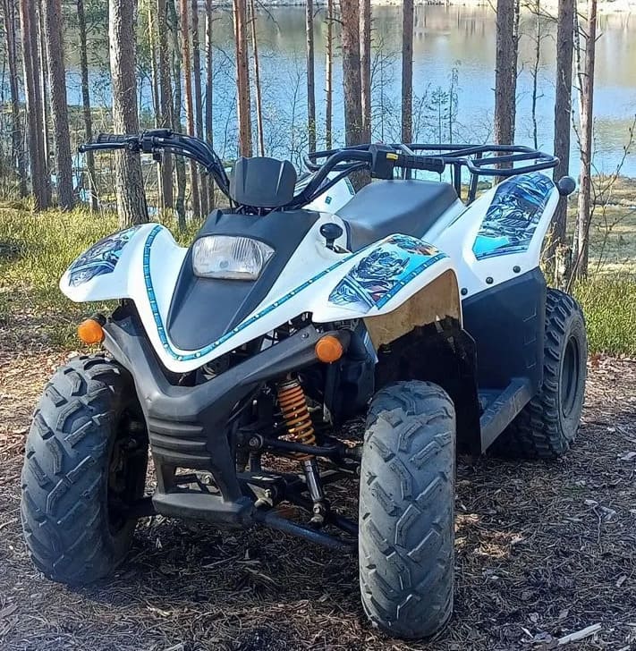 Квадроцикл BALTMOTORS Jam 100 Б/У в Новосибирске