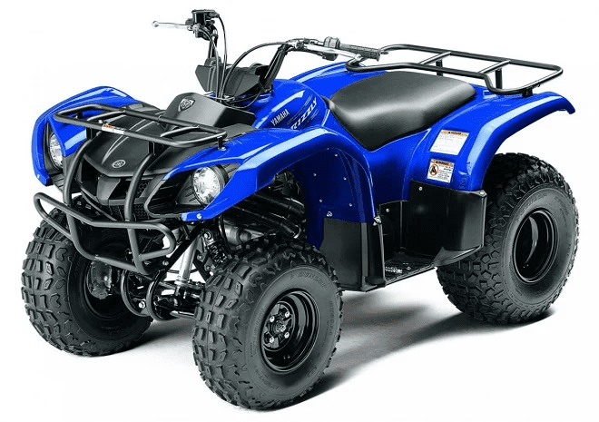 Квадроцикл GRIZZLY 125сс детский в Уфе