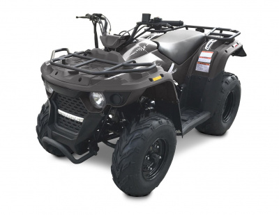 Квадроцикл LINHAI-YAMAHA M150 в Новосибирске