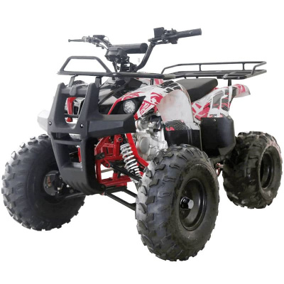 Квадроцикл WELS THUNDER 125 Basic в Новосибирске