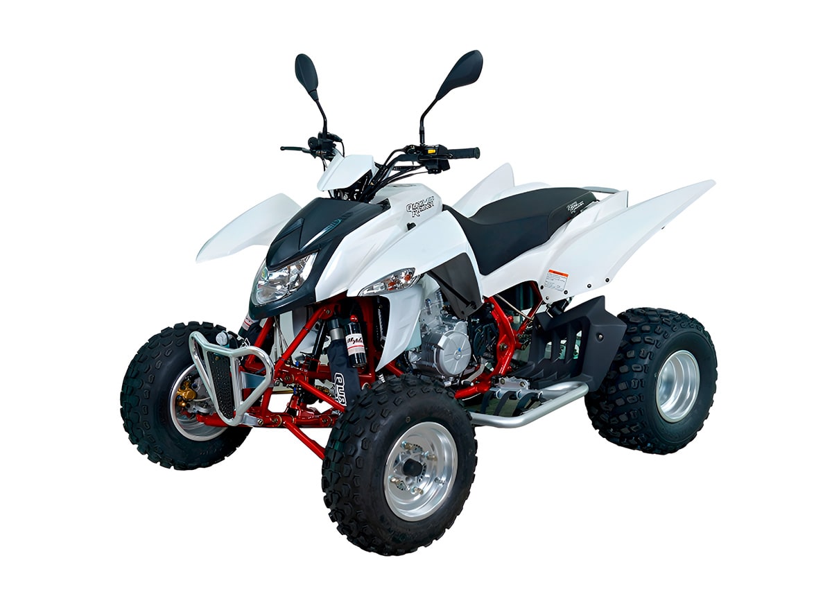 Квадроцикл SYM QuadRaider 450 в Пинске